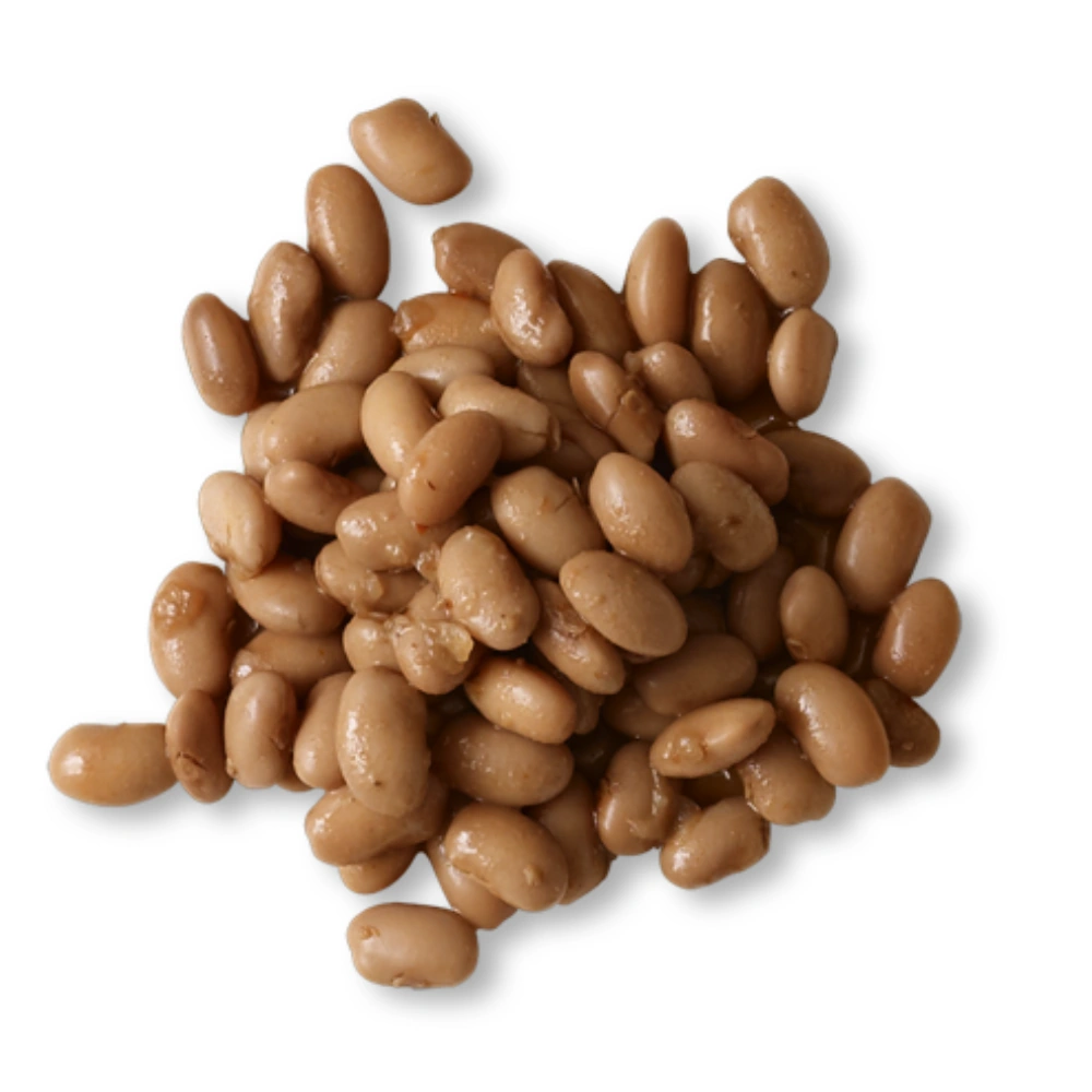 PINTO BEANS